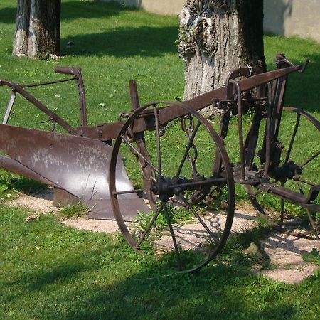 Agriturismo Le Cipressine メーオロ エクステリア 写真