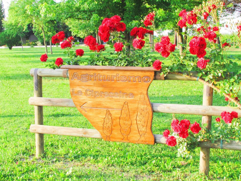 Agriturismo Le Cipressine メーオロ エクステリア 写真