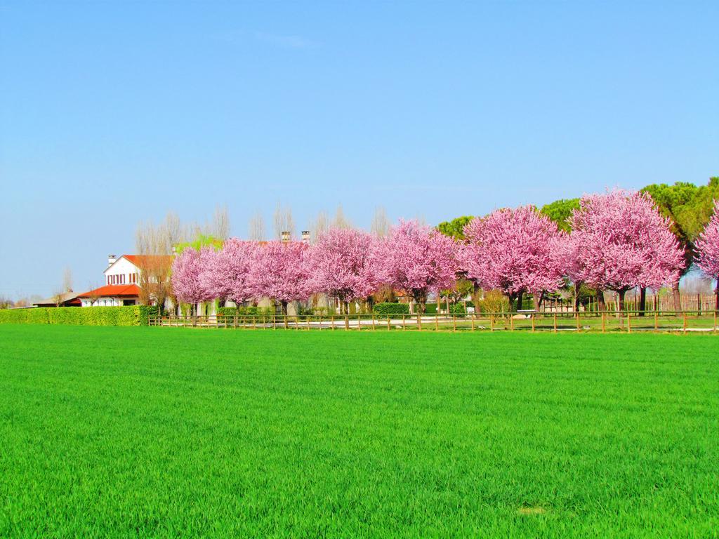 Agriturismo Le Cipressine メーオロ エクステリア 写真