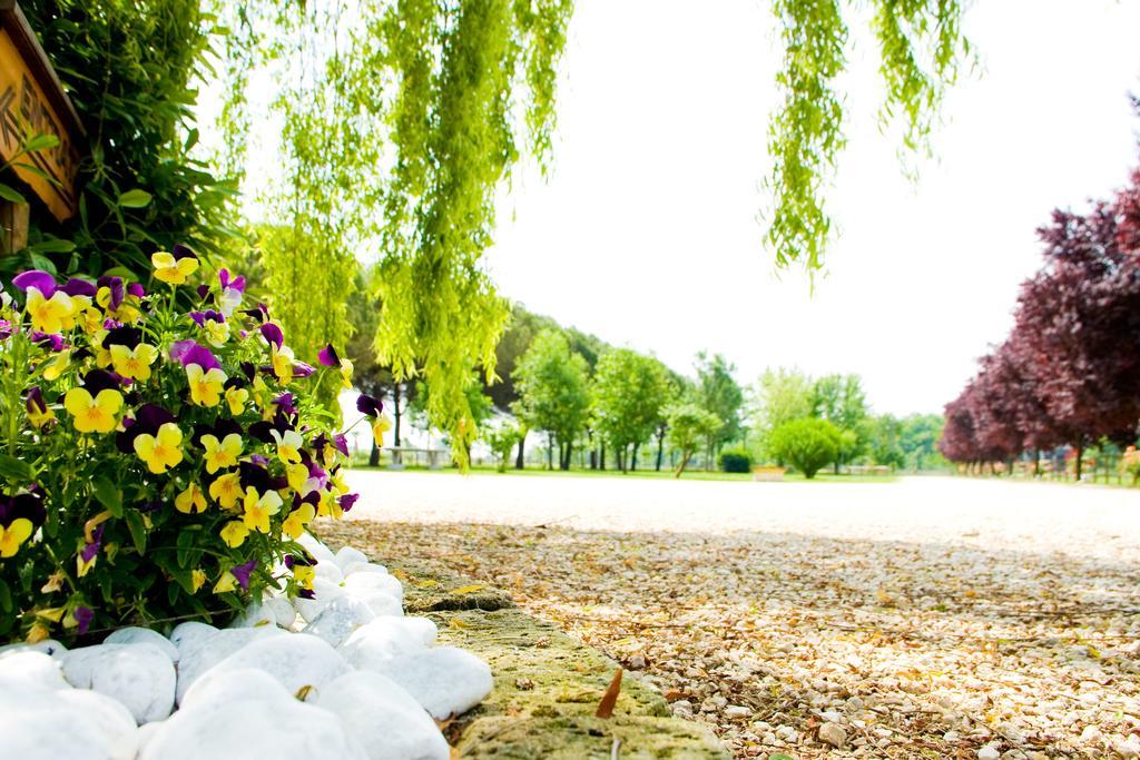 Agriturismo Le Cipressine メーオロ エクステリア 写真