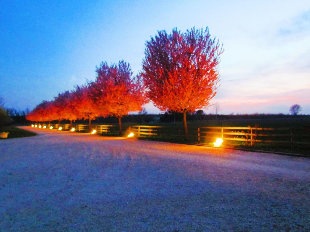 Agriturismo Le Cipressine メーオロ エクステリア 写真