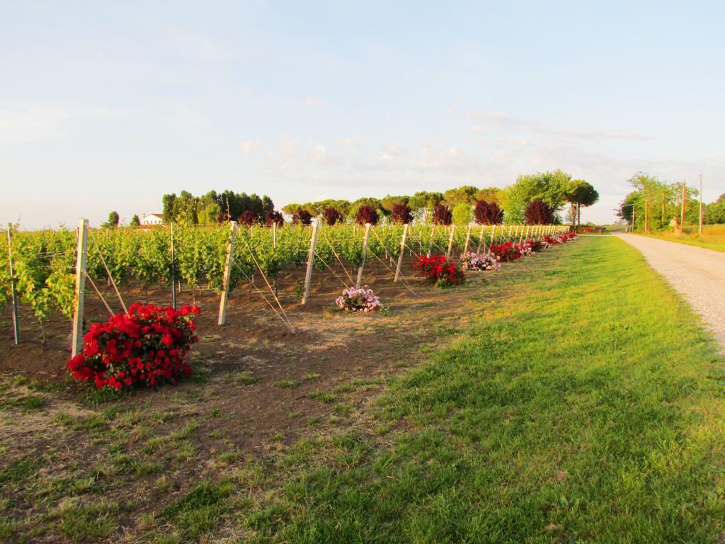 Agriturismo Le Cipressine メーオロ エクステリア 写真