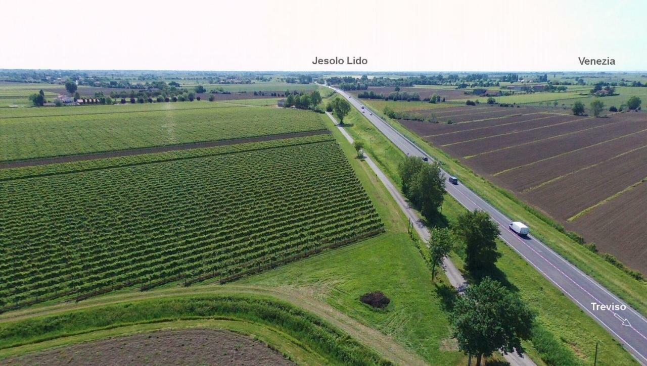 Agriturismo Le Cipressine メーオロ エクステリア 写真